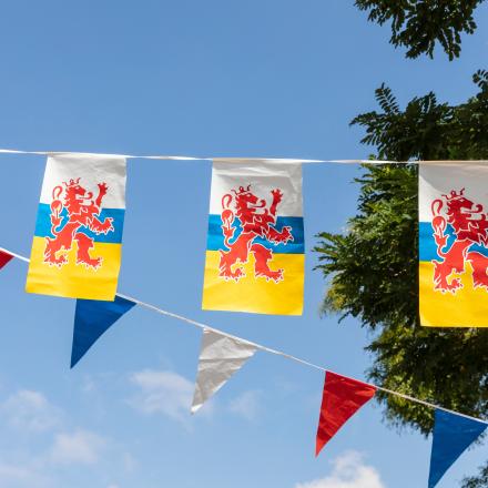 Limburgse Taal en carnaval