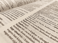 D'n Dictionair