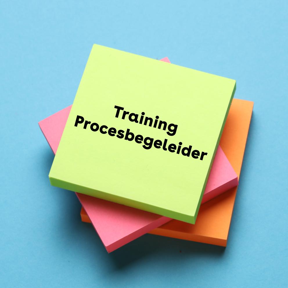 Training Procesbegeleider